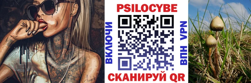 купить наркотики сайты  Новоалтайск  Псилоцибиновые грибы мухоморы 